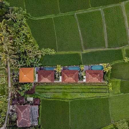 Airsania Ubud Antique Villas Ngoại thất bức ảnh
