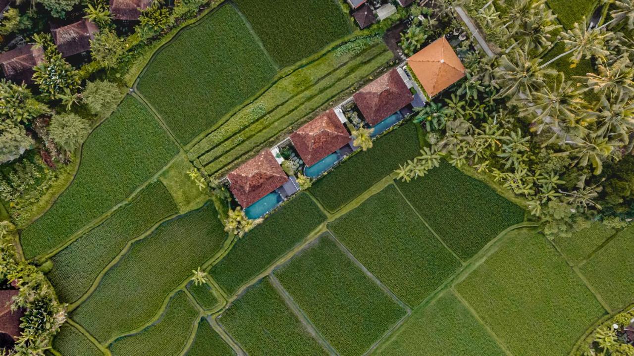 Airsania Ubud Antique Villas Ngoại thất bức ảnh