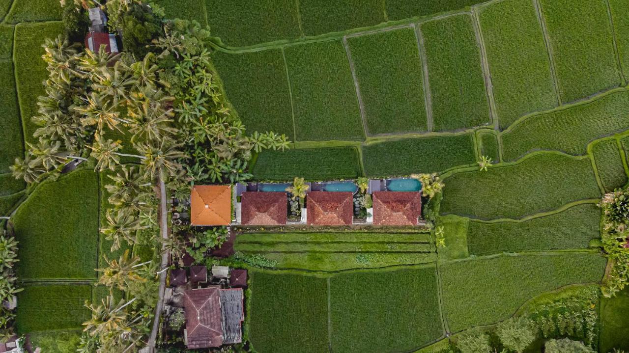 Airsania Ubud Antique Villas Ngoại thất bức ảnh
